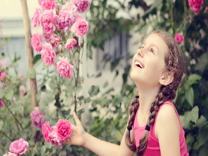 试管借精缩写腔镜手术费用试管会不会炸掉